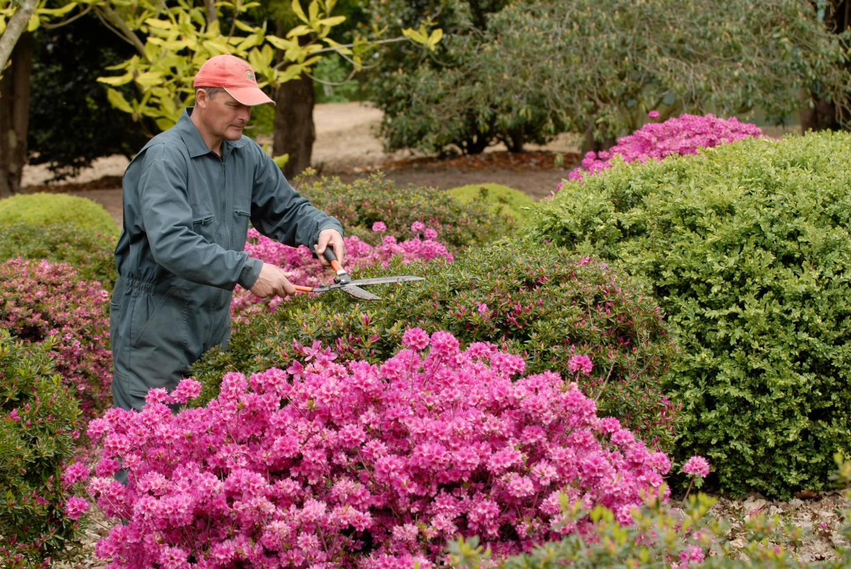 Domaine Des Rochettes Pepiniere A Nantes DOMAINE DES ROCHETTES 1 1