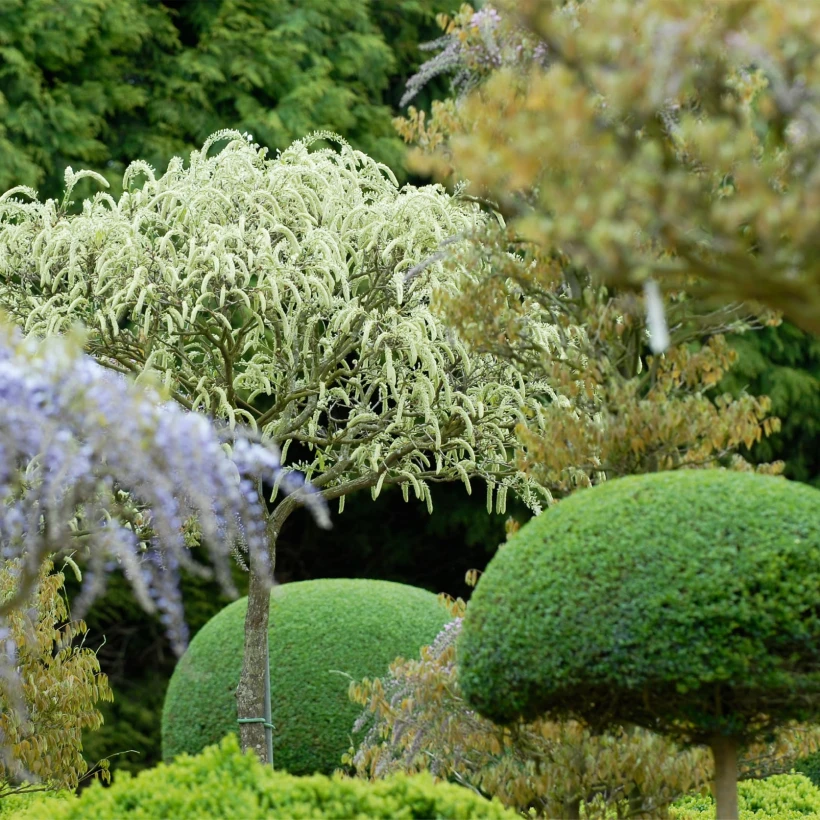 Domaine Des Rochettes Pepiniere A Nantes DOMAINE DES ROCHETTES 22 1