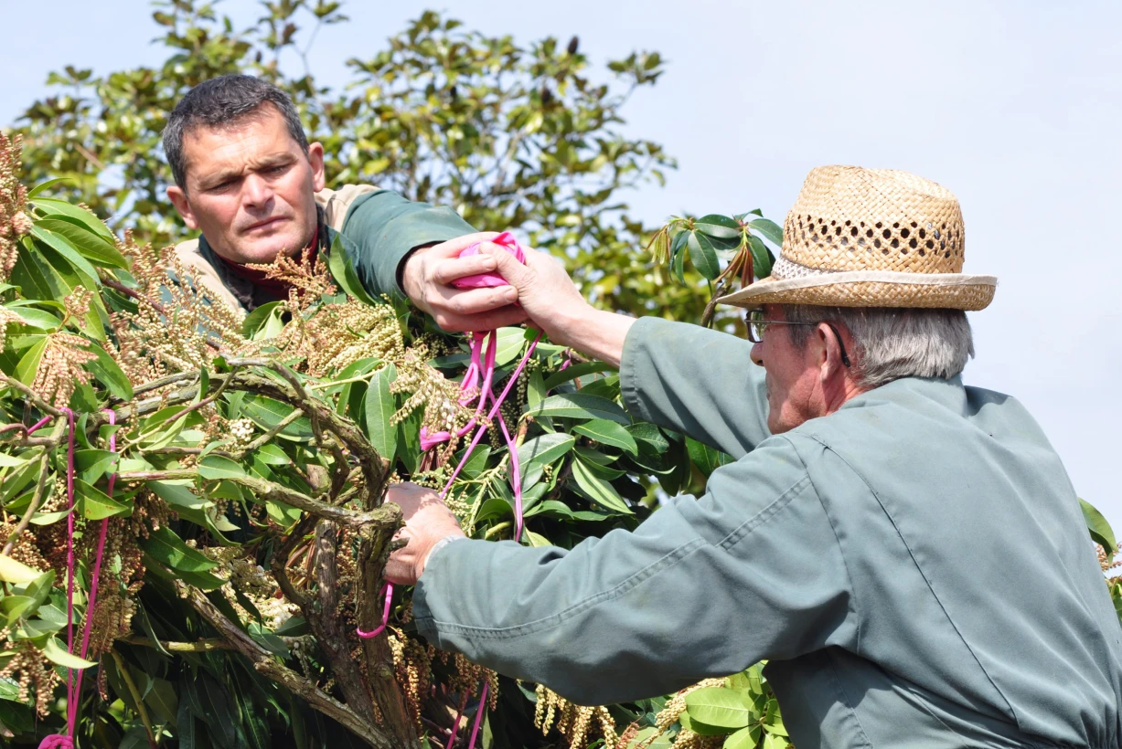 Domaine Des Rochettes Pepiniere A Nantes DOMAINE DES ROCHETTES 31