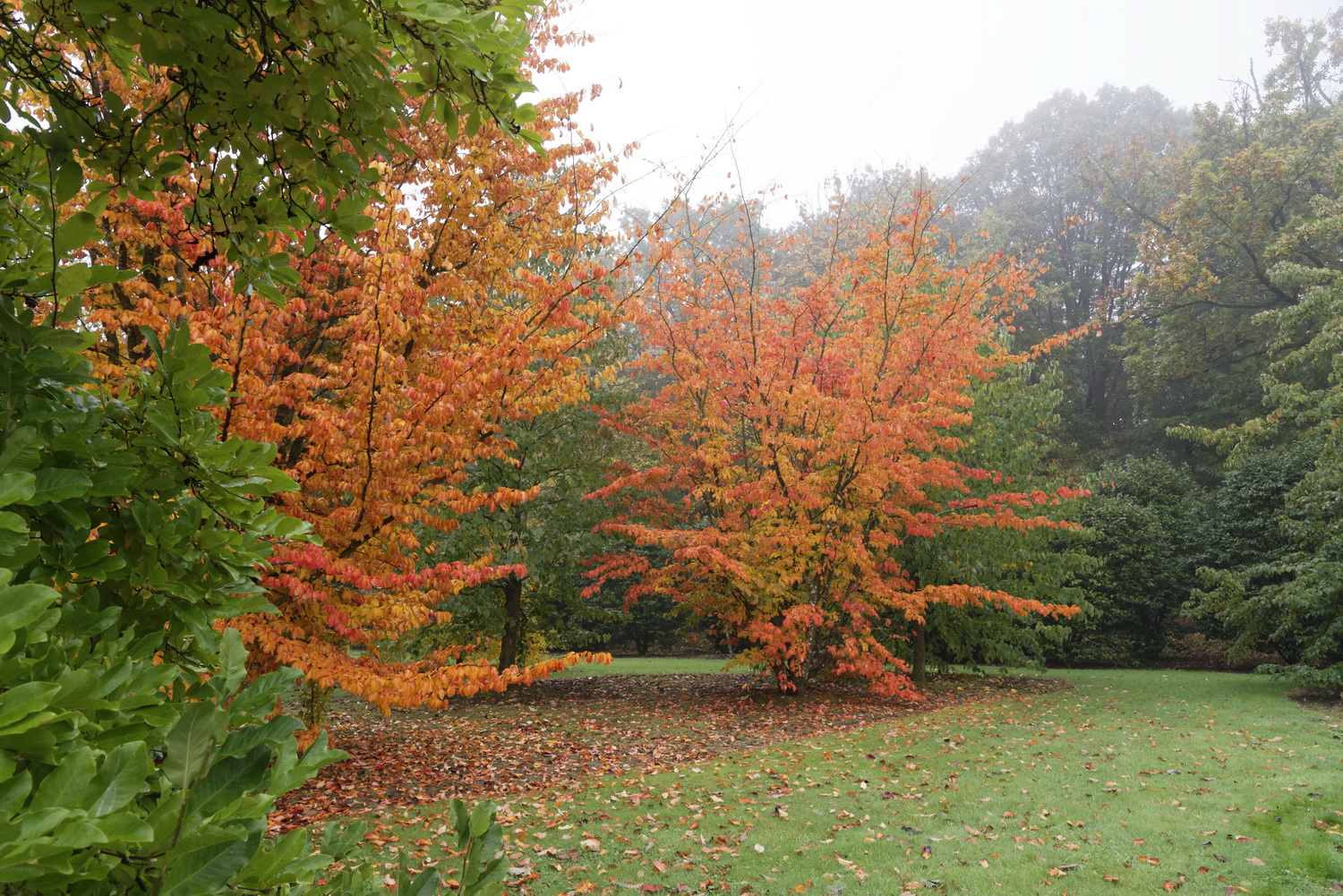 Domaine Des Rochettes S° Nicolas S° Nico Bs DefDomaine Des Rochettes © Laurence De Terline Domaine Des Rochettes S° Nicolas S° Nico Bs DefDomaine Des Rochettes © Laurence De Terline