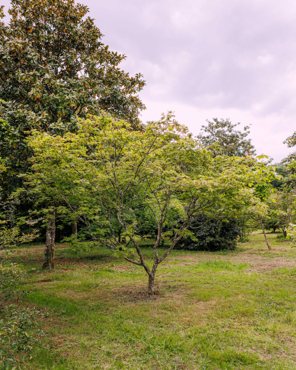 Domaine Des Rochettes Pepiniere A Nantes FKS 2445