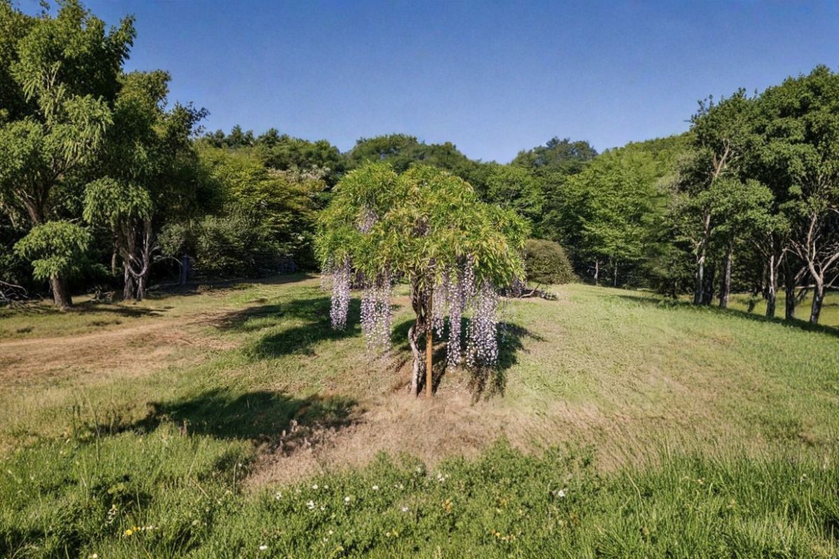 Domaine Des Rochettes Pepiniere A Nantes WFMACRONS51