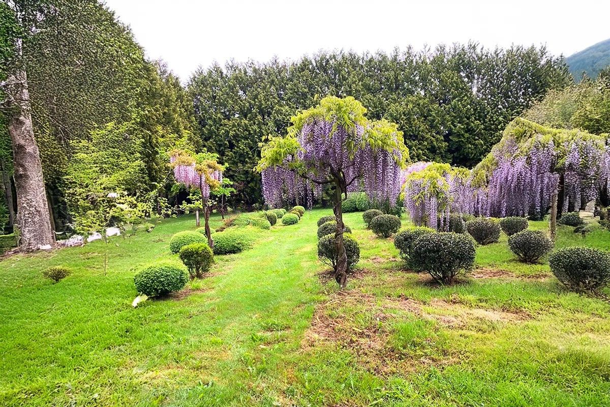 Domaine Des Rochettes Pepiniere A Nantes WSPROLGR31