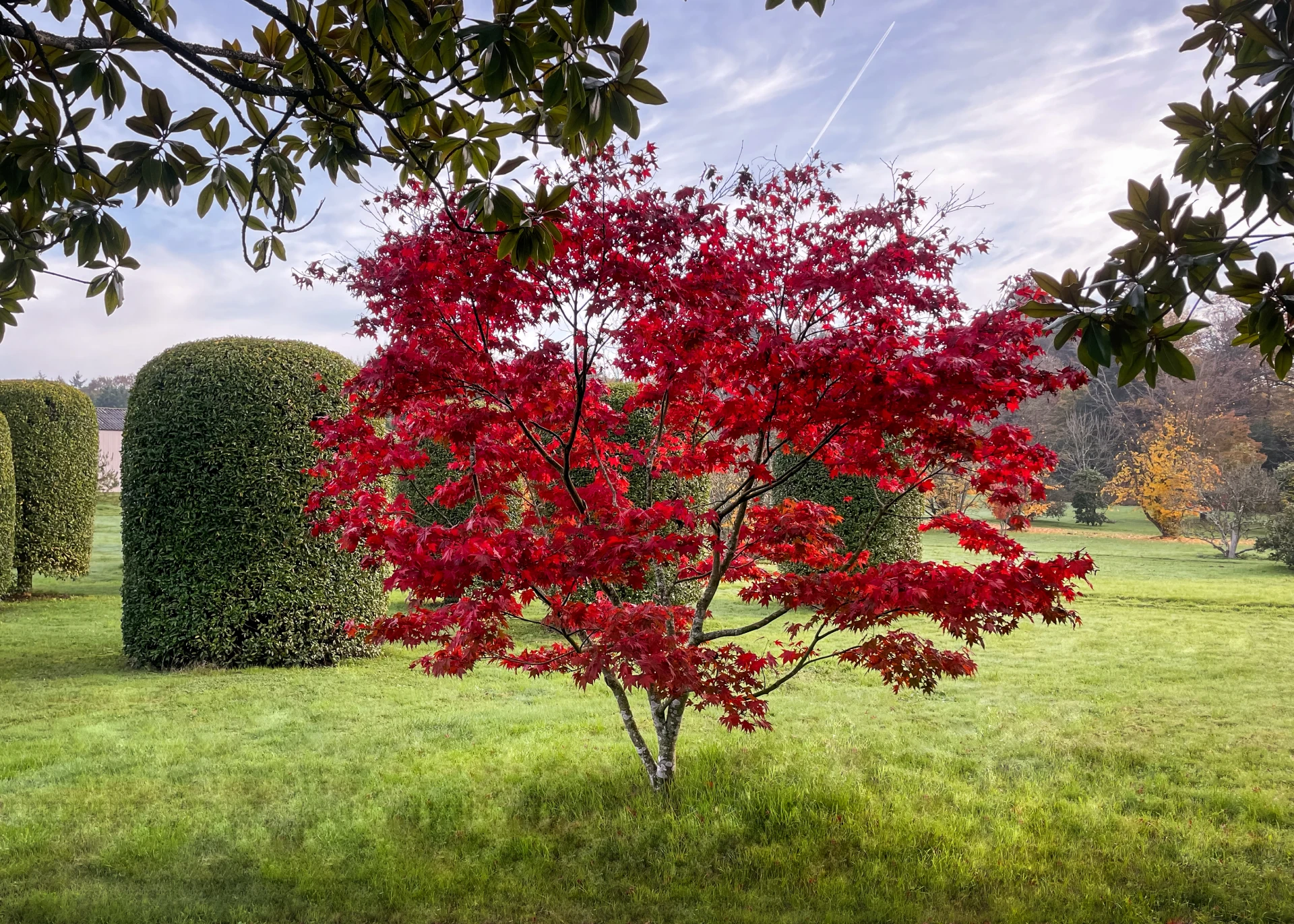 Domaine Des Rochettes Pepiniere A Nantes Slider 2