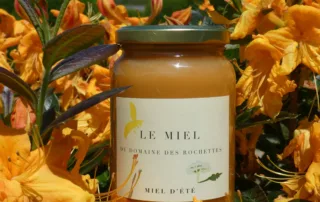 Domaine Des Rochettes Pepiniere A Nantes DOMAINE DES ROCHETTES Pepinier Nantes Topiaires 3 Scaled 1