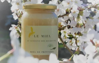 Domaine Des Rochettes Pepiniere A Nantes DOMAINE DES ROCHETTES Pepinier Nantes Topiaires