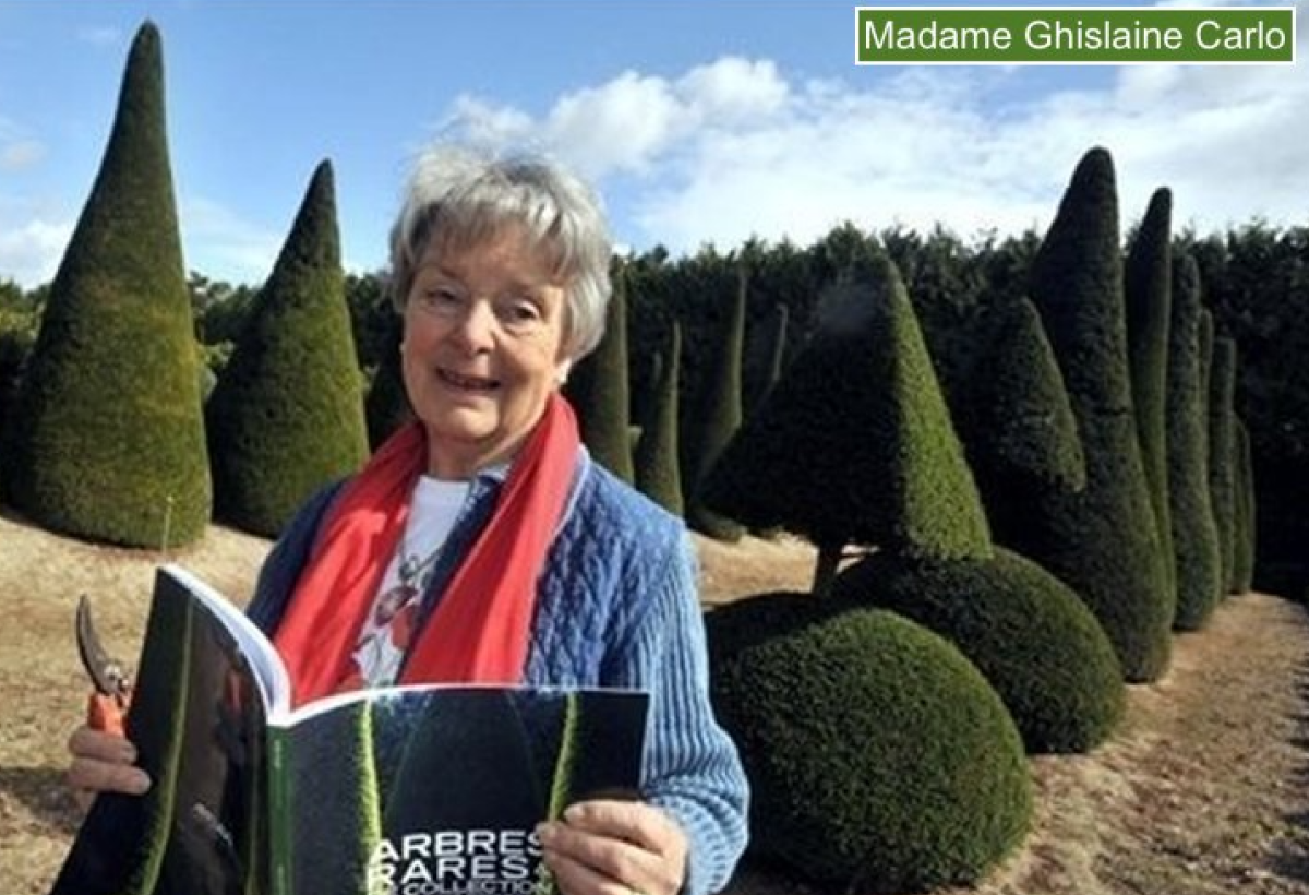 Domaine Des Rochettes Pepiniere A Nantes Camellia2 Domaine Des Rochettes Pepiniere A Nantes Camellia2