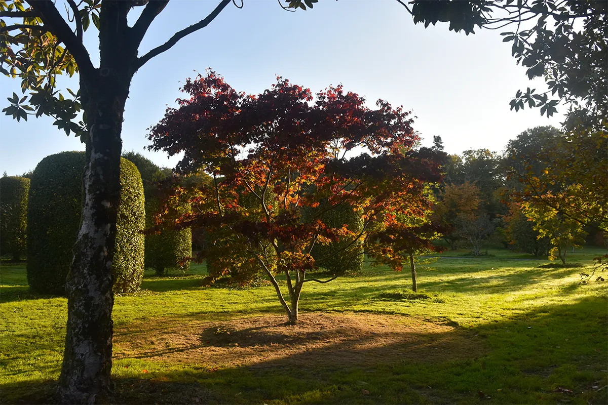 Domaine Des Rochettes Pepiniere A Nantes APATRONE41