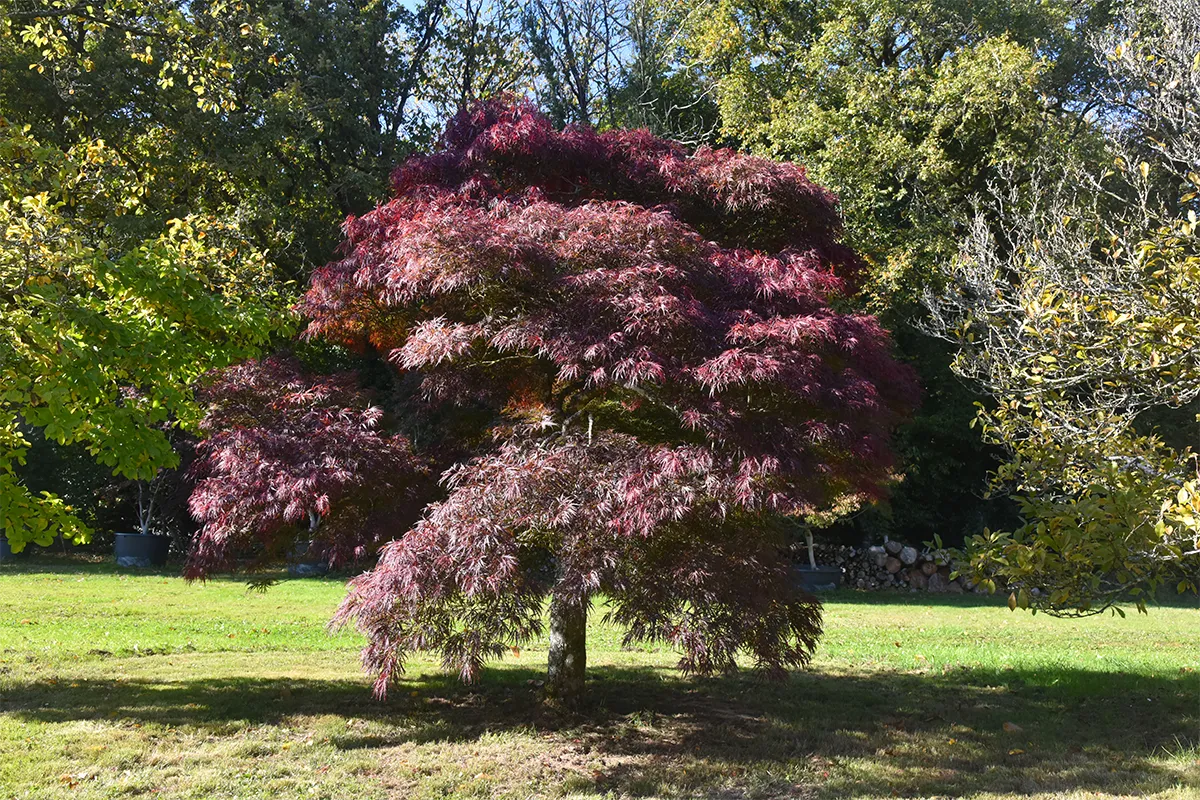 Domaine Des Rochettes Pepiniere A Nantes APGARNET1
