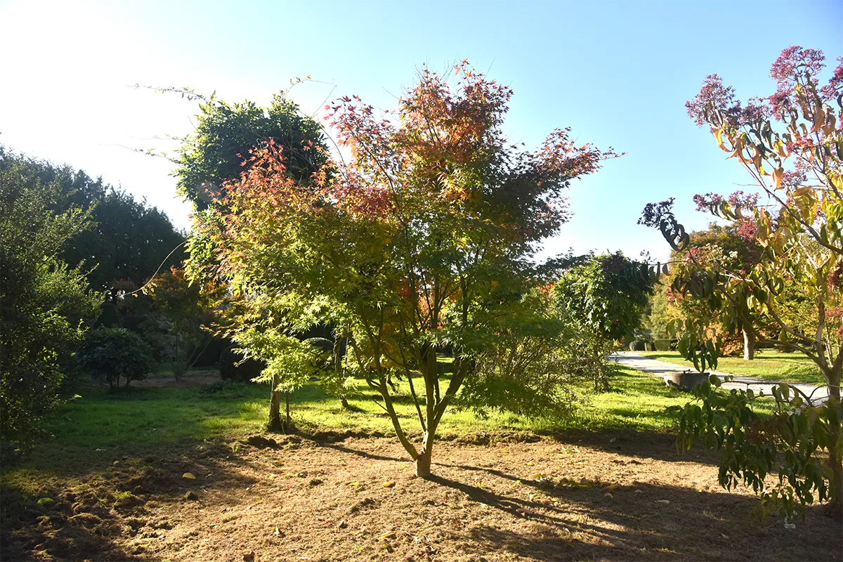 Domaine Des Rochettes Pepiniere A Nantes APGR2021