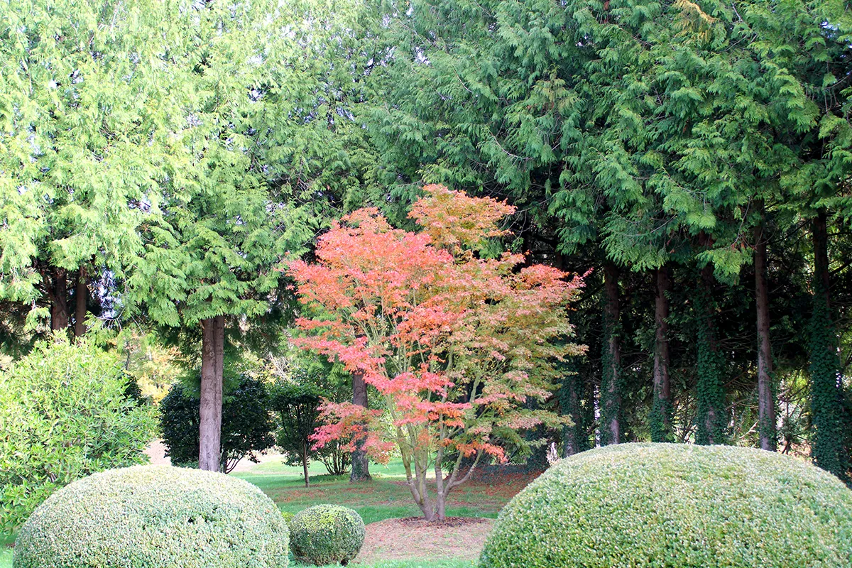 Domaine Des Rochettes Pepiniere A Nantes APGR3011