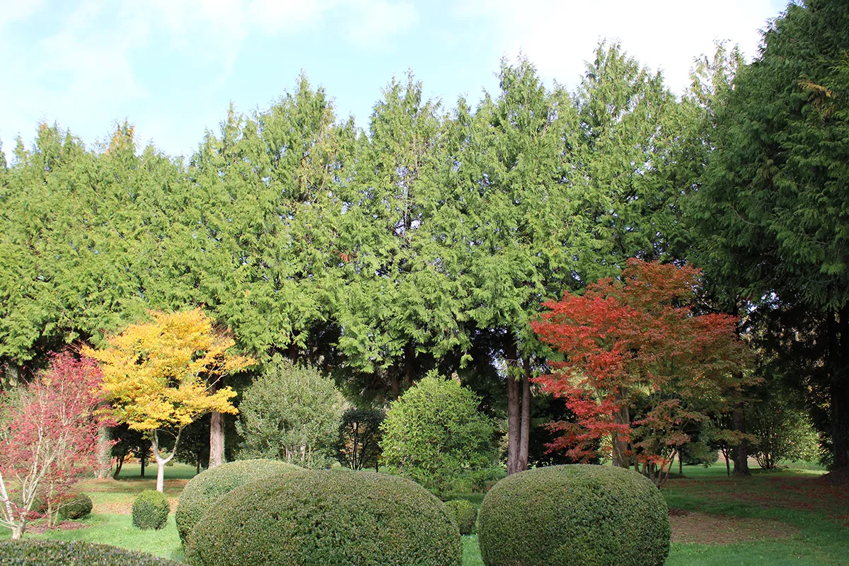 Domaine Des Rochettes Pepiniere A Nantes APGR3013