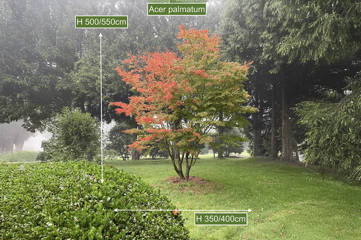 Domaine Des Rochettes Pepiniere A Nantes APGR3016