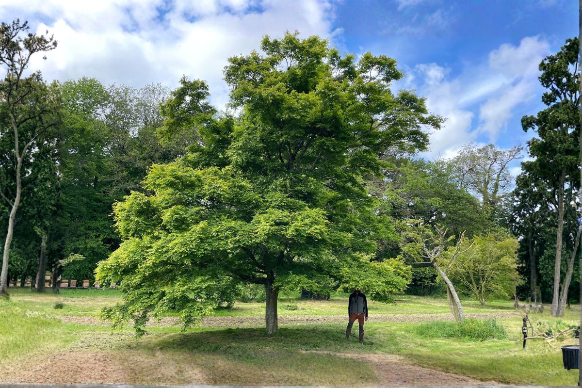 Domaine Des Rochettes Pepiniere A Nantes APGR4SPEC1