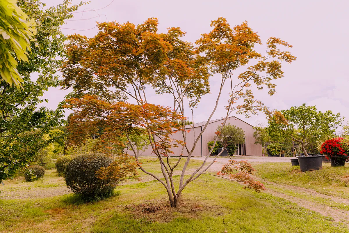 Domaine Des Rochettes Pepiniere A Nantes APNE11