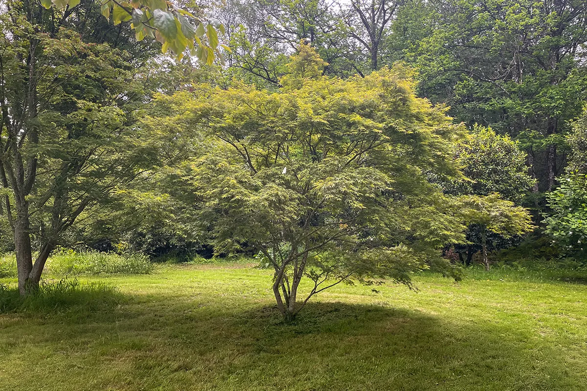 Domaine Des Rochettes Pepiniere A Nantes APNE1MUREHIB1