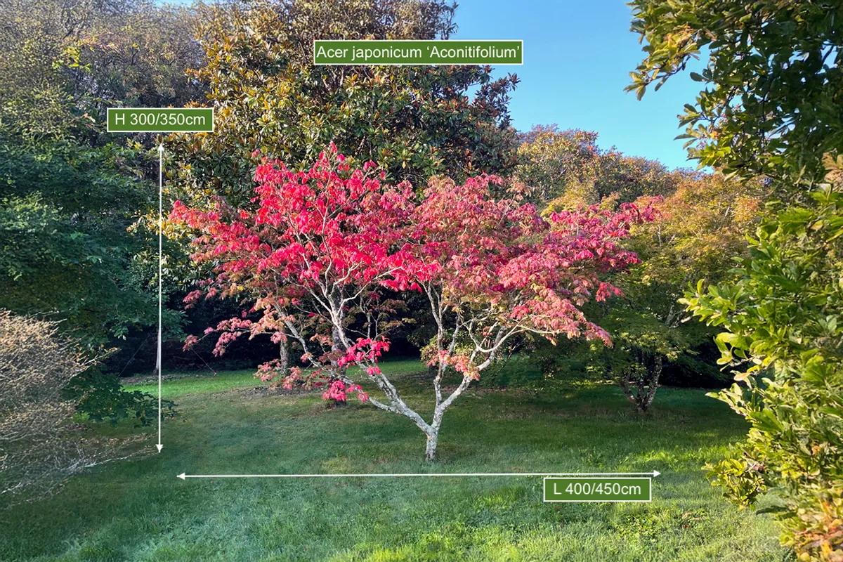 Domaine Des Rochettes Pepiniere A Nantes APNS1ACONIT5