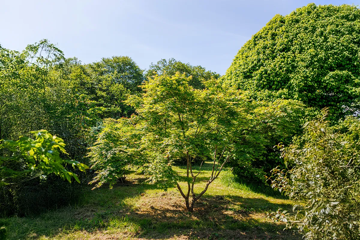 Domaine Des Rochettes Pepiniere A Nantes APNS2ODREAM1