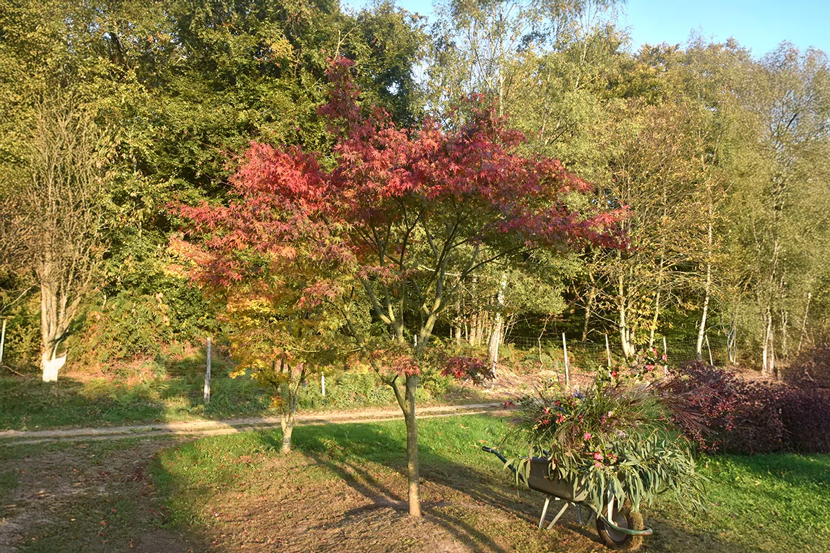 Domaine Des Rochettes Pepiniere A Nantes APNS4TIG1