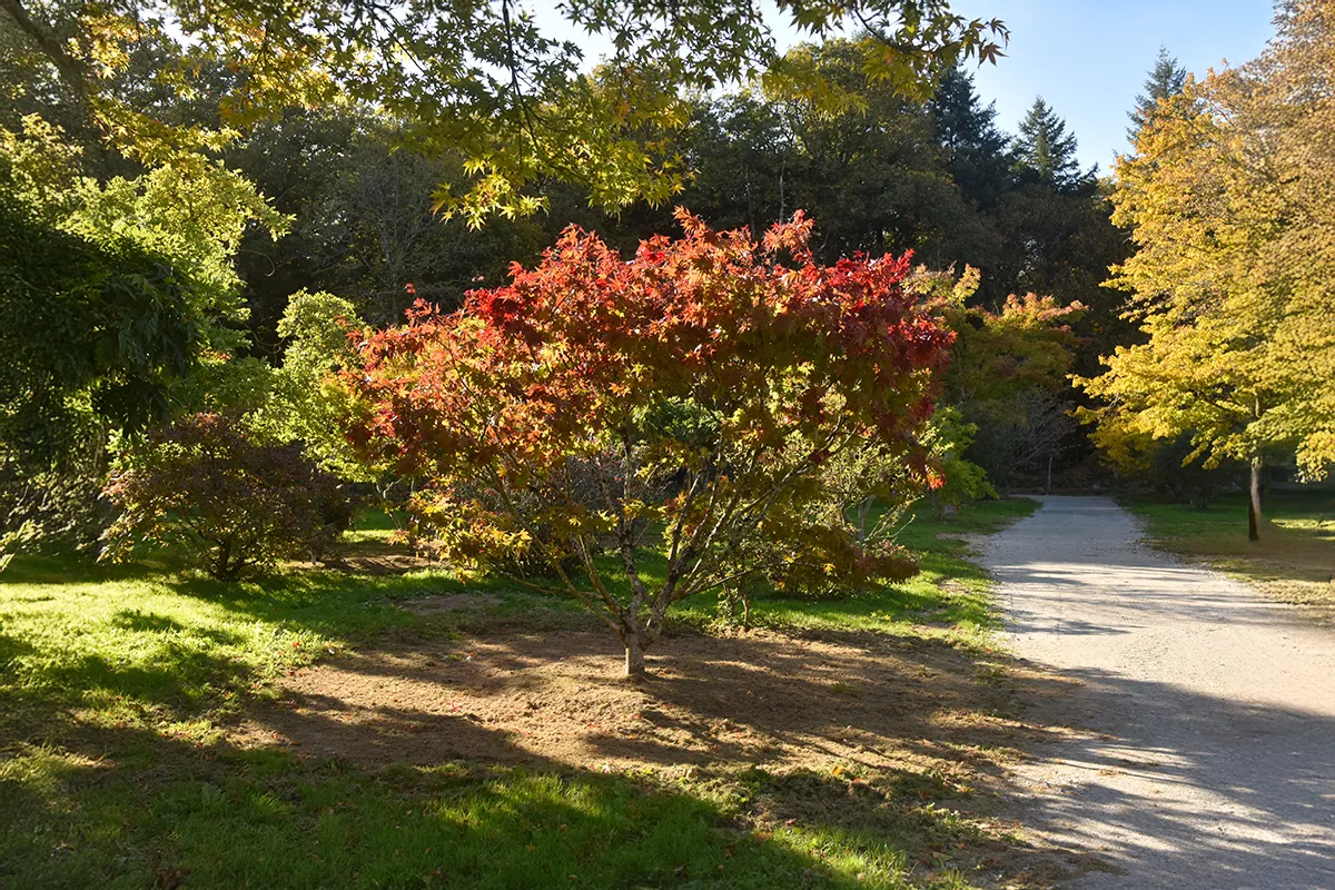 Domaine Des Rochettes Pepiniere A Nantes APOSAKNS31