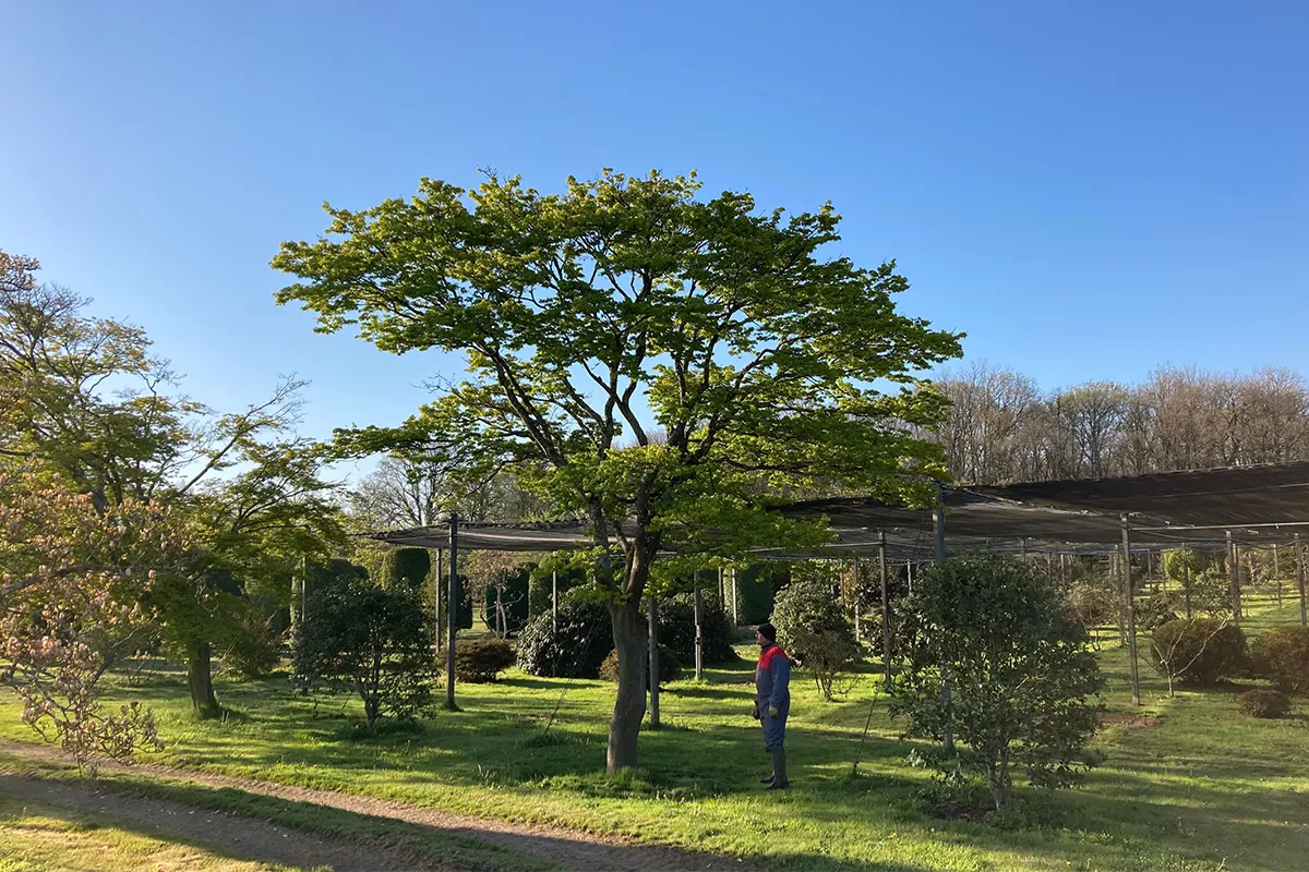 Domaine Des Rochettes Pepiniere A Nantes APSAVANE1