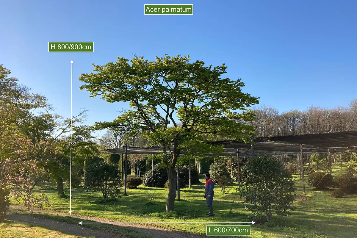 Domaine Des Rochettes Pepiniere A Nantes APSAVANE6