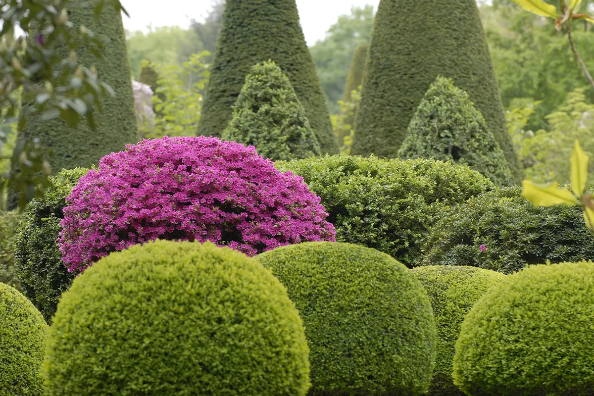 Domaine Des Rochettes Pepiniere A Nantes AZPAMO2002201