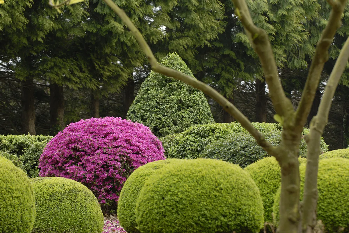 Domaine Des Rochettes Pepiniere A Nantes AZPAMO901001