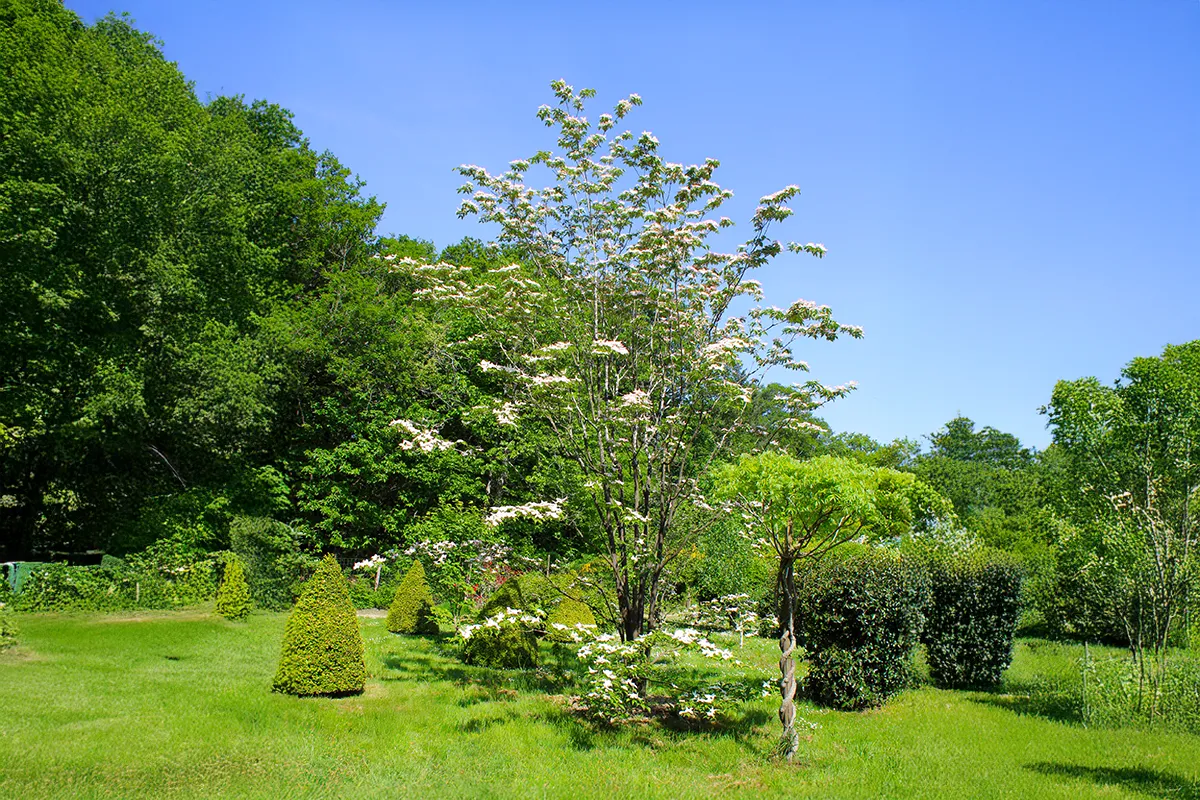Domaine Des Rochettes Pepiniere A Nantes CORRUTBAN1