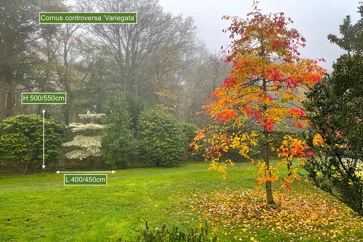 Domaine Des Rochettes Pepiniere A Nantes CORVARNS6015