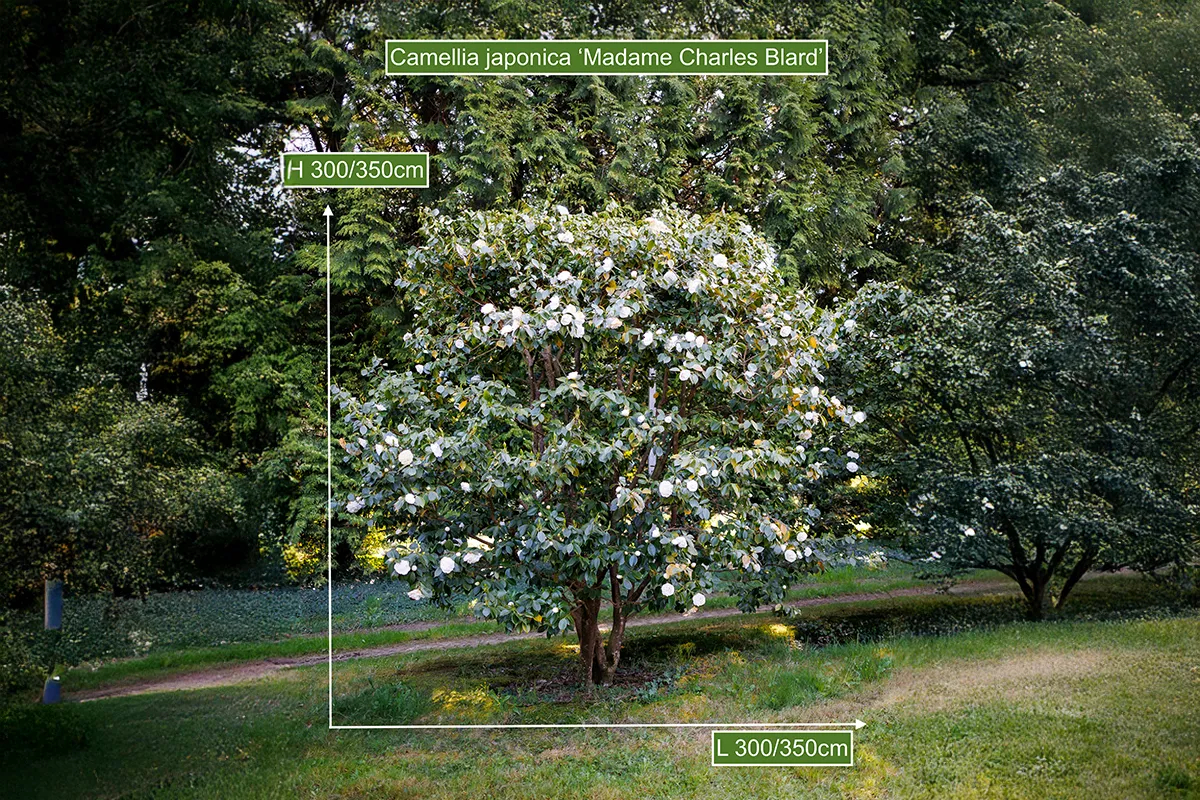 Domaine Des Rochettes Pepiniere A Nantes GOA02MCB5