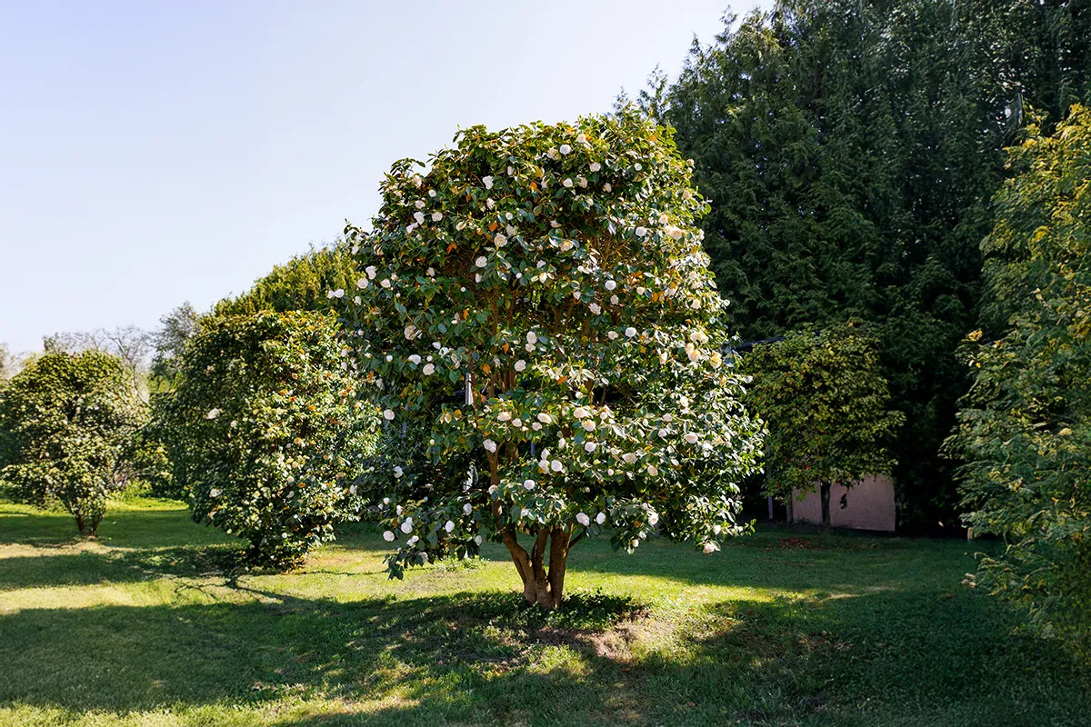 Domaine Des Rochettes Pepiniere A Nantes GOA04MCB1