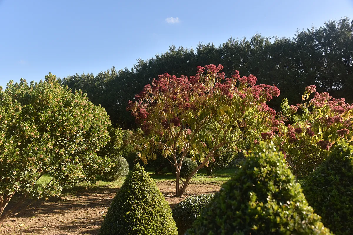 Domaine Des Rochettes Pepiniere A Nantes HEPTAGR11