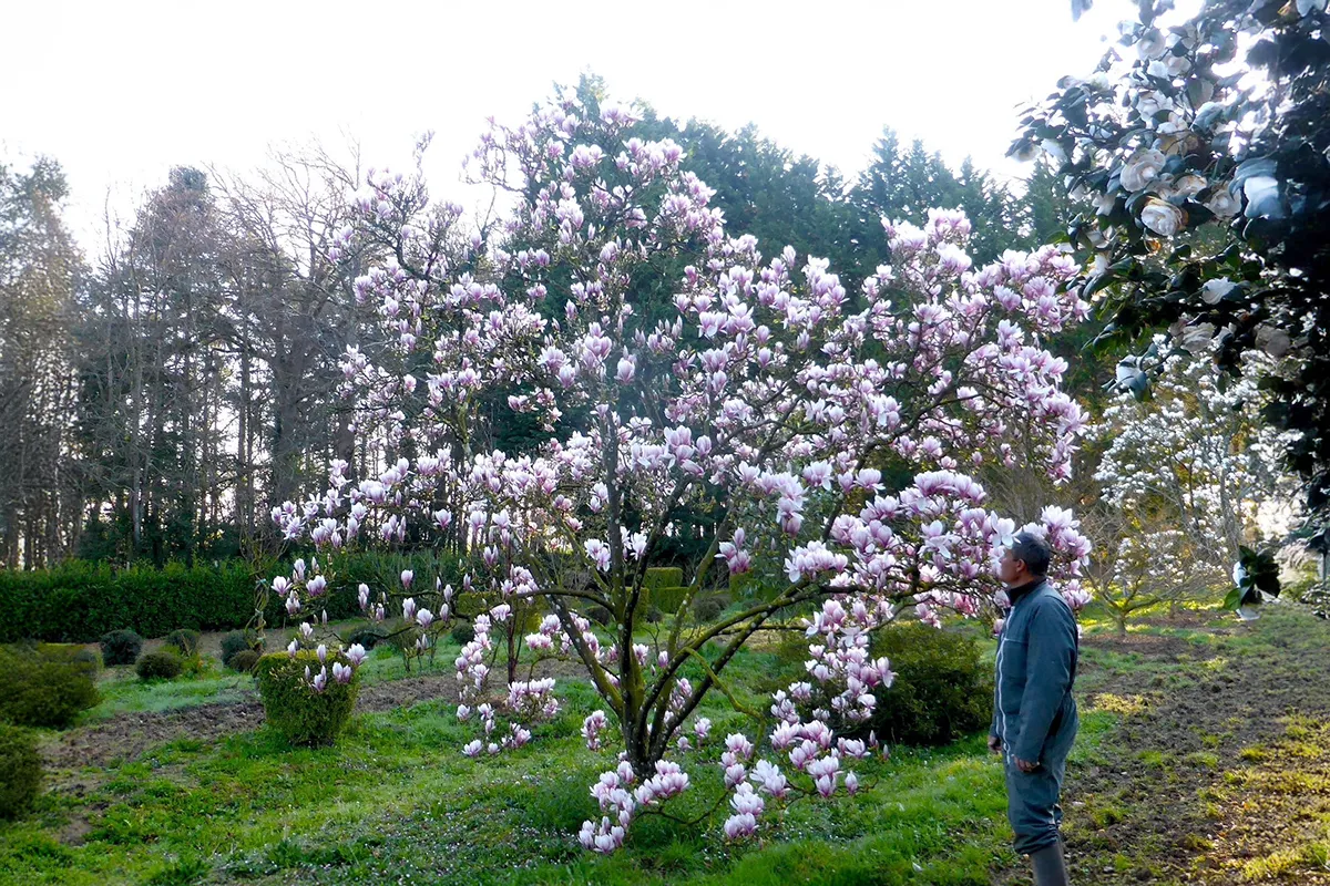 Domaine Des Rochettes Pepiniere A Nantes MASOULPT1