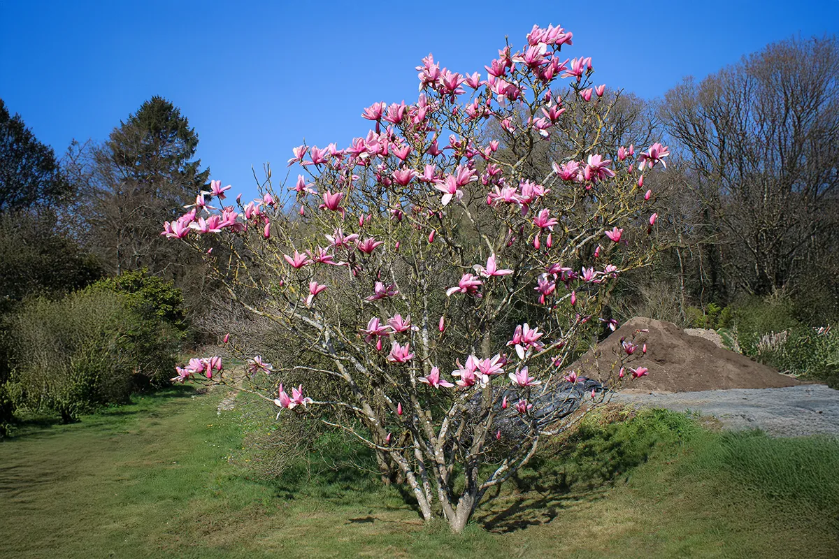 Domaine Des Rochettes Pepiniere A Nantes MASTARWLH1