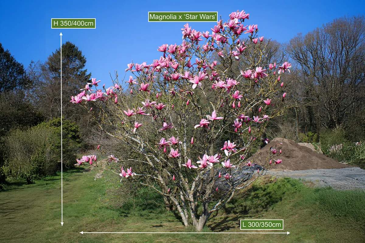 Domaine Des Rochettes Pepiniere A Nantes MASTARWLH5