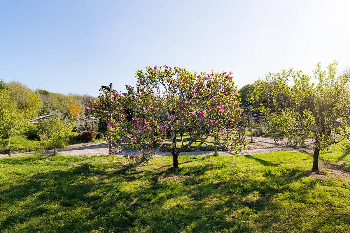 Domaine Des Rochettes Pepiniere A Nantes MASUZLH41