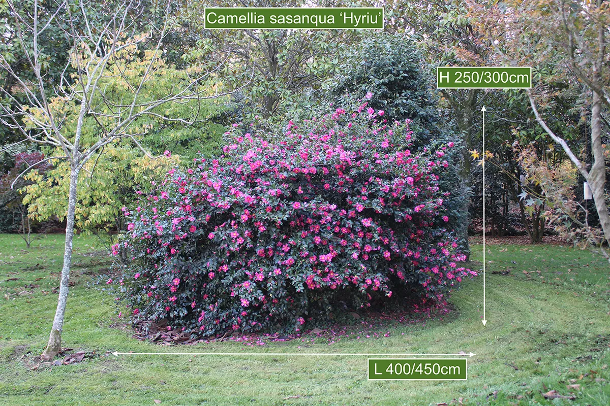 Domaine Des Rochettes Pepiniere A Nantes NS1CSHYRIU5