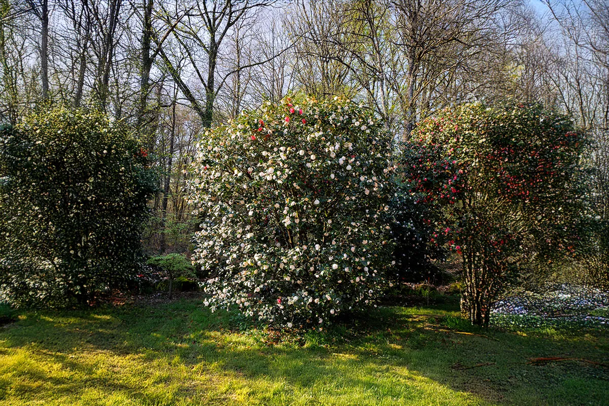 Domaine Des Rochettes Pepiniere A Nantes NS601CA1