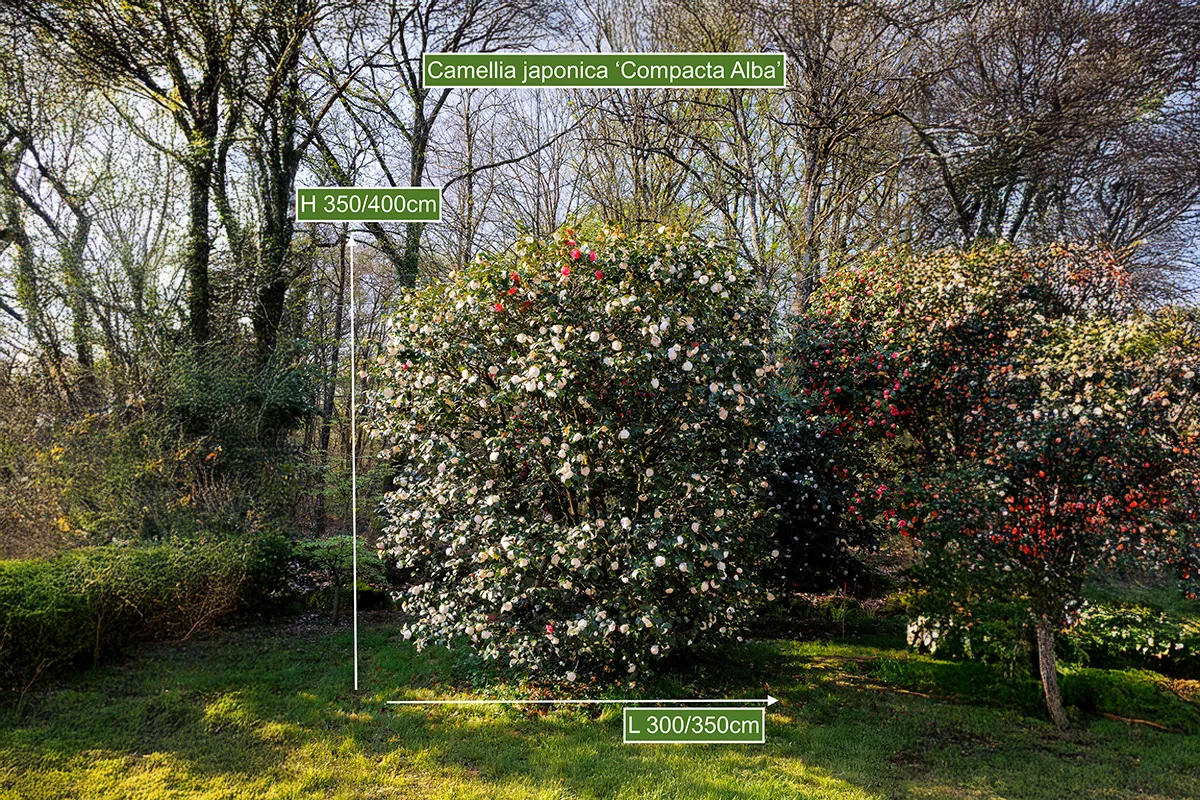 Domaine Des Rochettes Pepiniere A Nantes NS601CA5