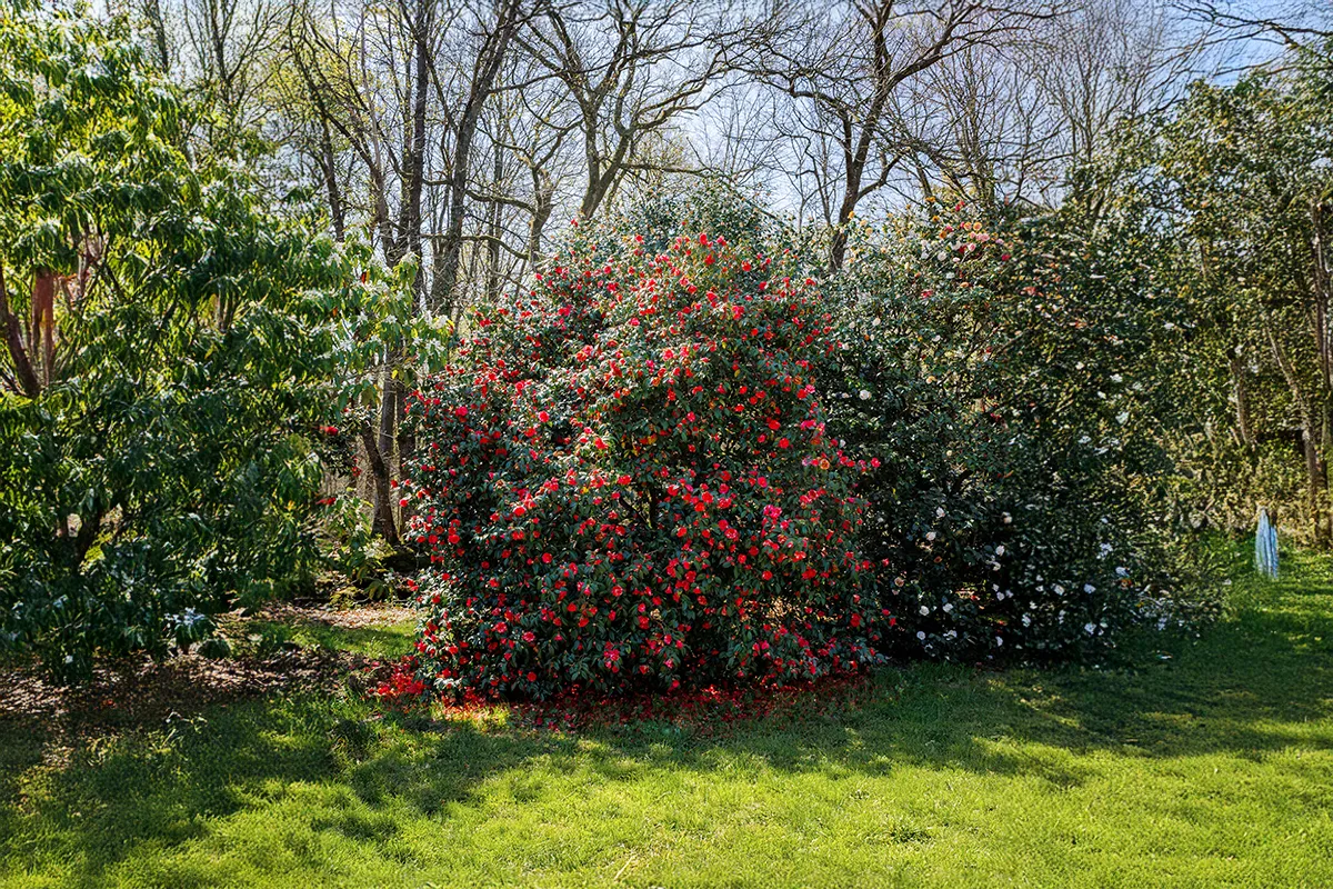 Domaine Des Rochettes Pepiniere A Nantes NS601DK1