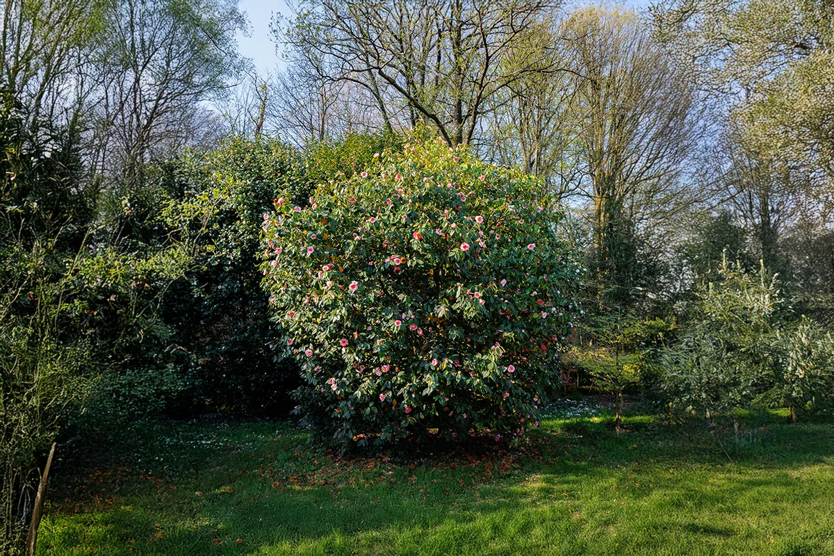 Domaine Des Rochettes Pepiniere A Nantes NS601LP1