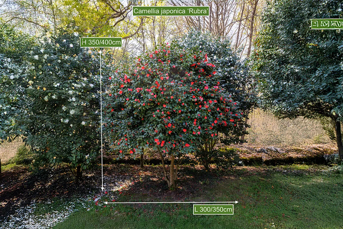 Domaine Des Rochettes Pepiniere A Nantes NS601RUB6