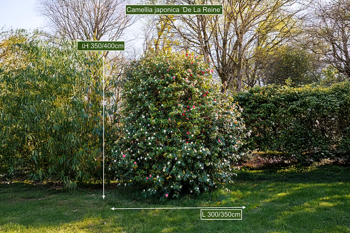 Domaine Des Rochettes Pepiniere A Nantes NS602DLR5