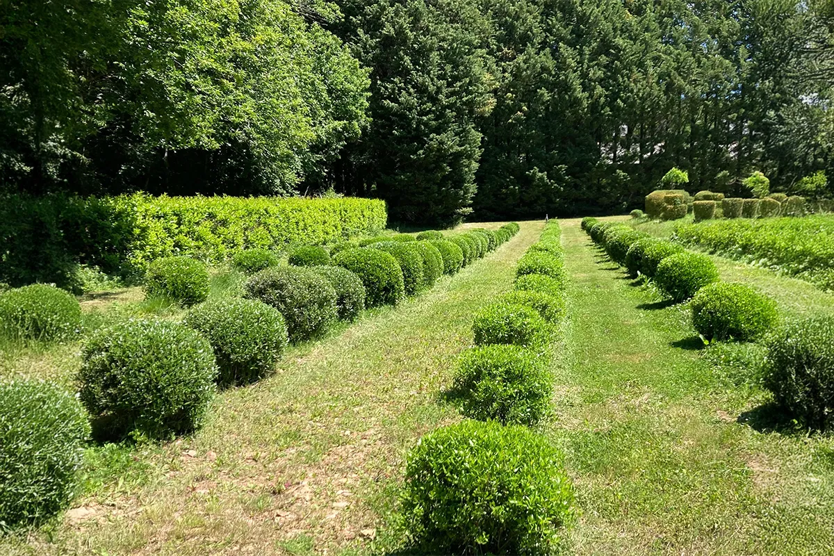 Domaine Des Rochettes Pepiniere A Nantes PHILANG011