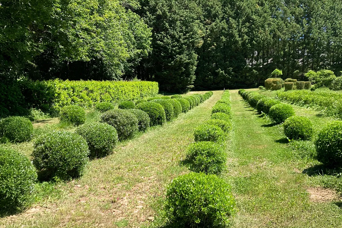 Domaine Des Rochettes Pepiniere A Nantes PHILANG031