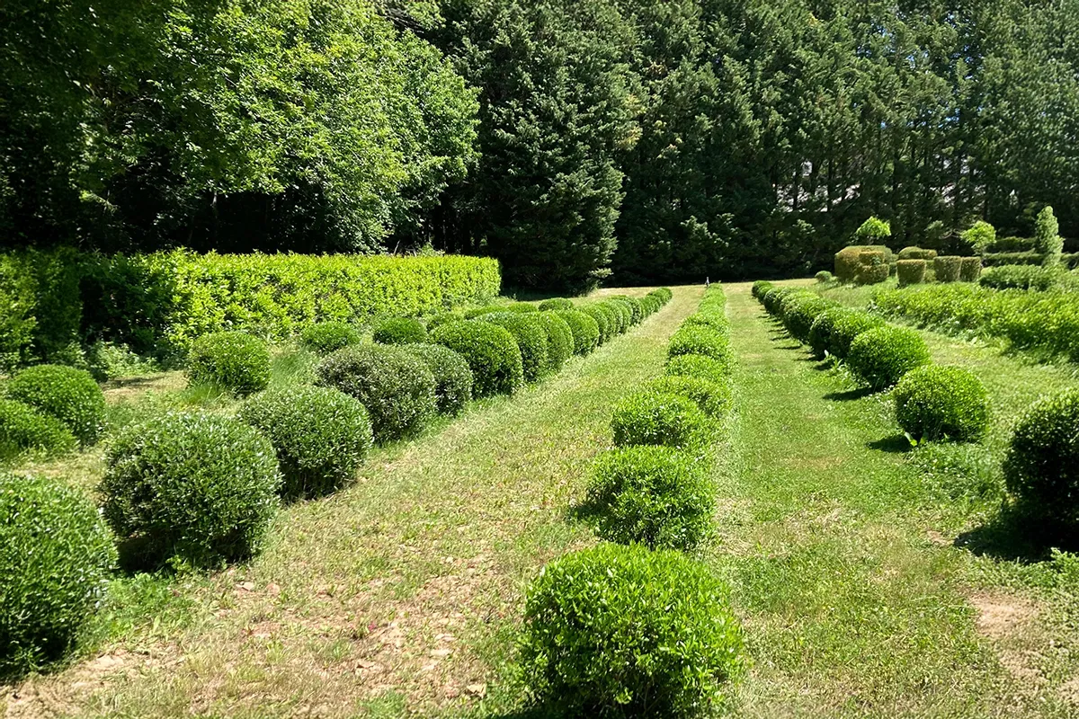 Domaine Des Rochettes Pepiniere A Nantes PHILLATI011