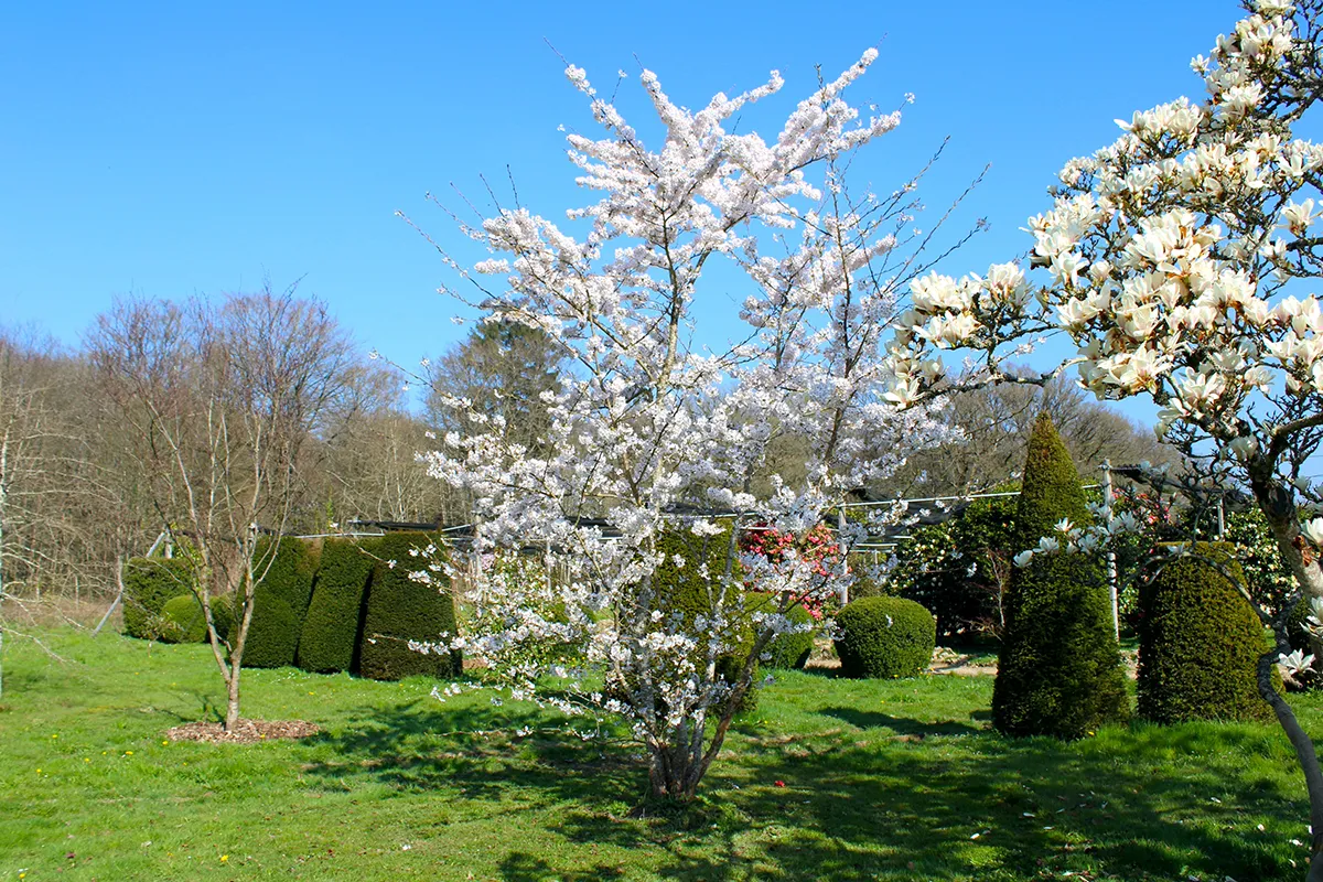 Domaine Des Rochettes Pepiniere A Nantes PRUYEDONS21