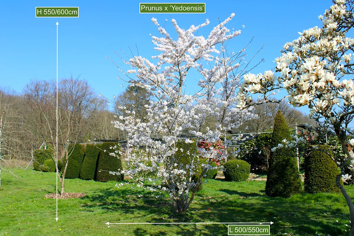 Domaine Des Rochettes Pepiniere A Nantes PRUYEDONS25