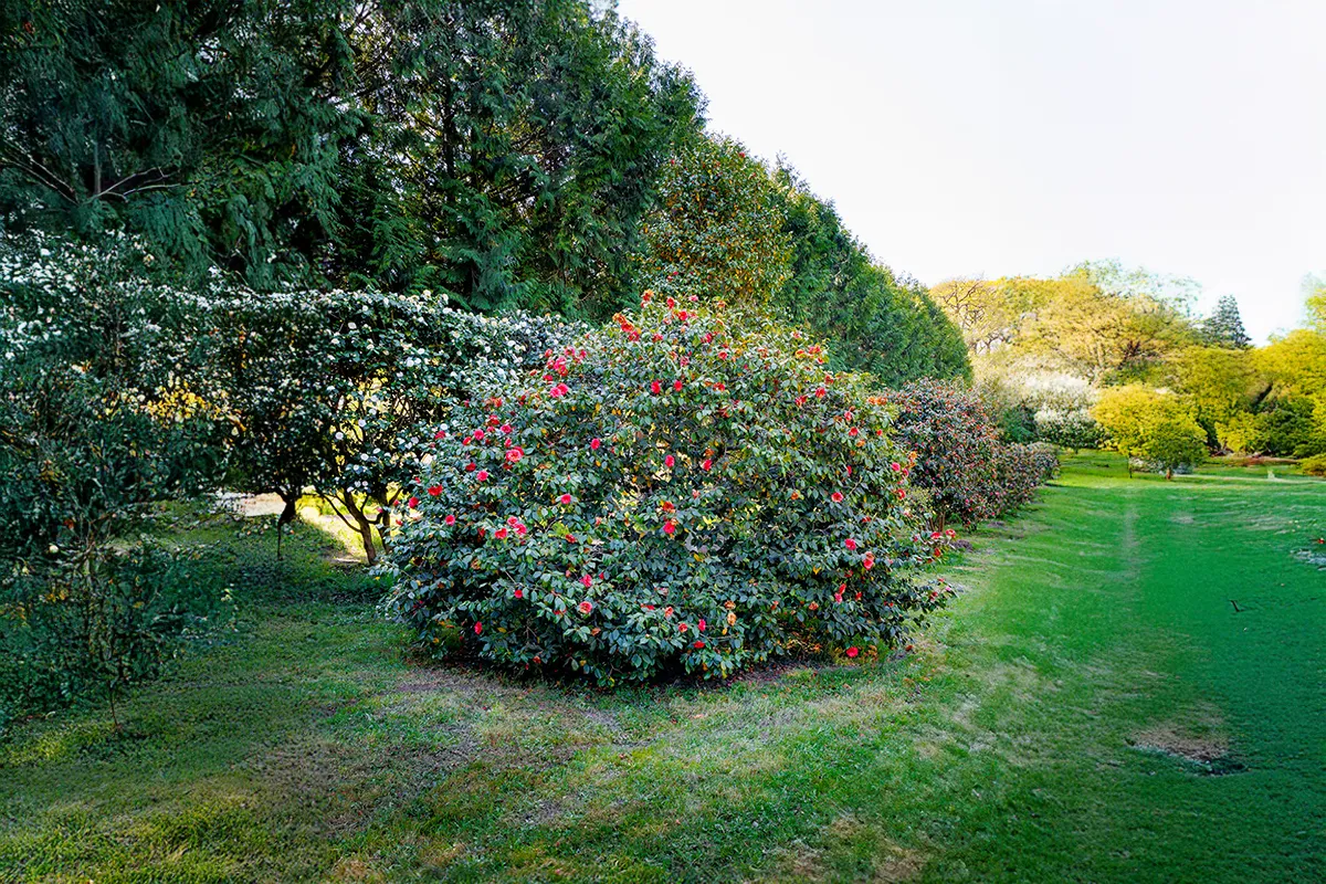 Domaine Des Rochettes Pepiniere A Nantes PT01GL1